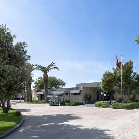 Otel A11